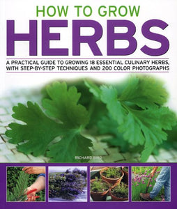 How to Grow Herbs 