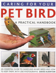 Caring for Your Pet Bird 