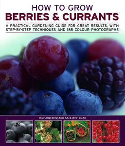 How to Grow Berries and Currants 