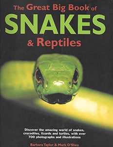 The Great Big Book of Snakes and Reptiles 