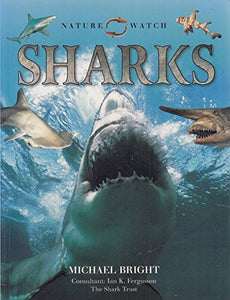 Nature Watch Sharks 