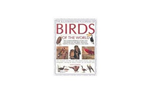 Illustrated Encyclopedia of Birds World 