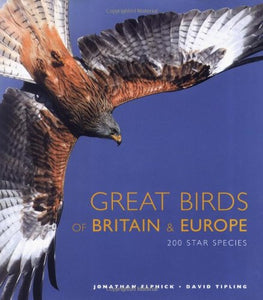 Great Birds of Europe 