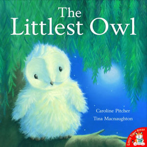 The Littlest Owl 