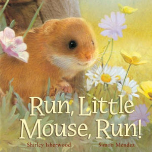 Run, Little Mouse, Run! 