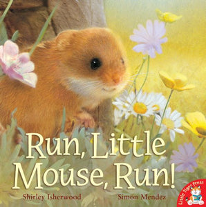 Run, Little Mouse, Run! 