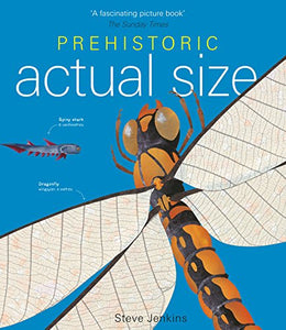 Prehistoric Actual Size 