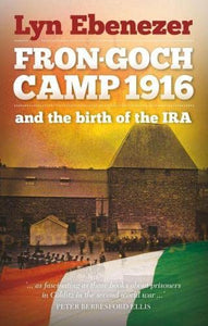 Fron-Goch Camp 1916 - And the Birth of the IRA 