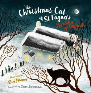 Christmas Cat at St Fagan's, The 