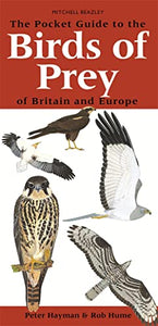 The Pocket Guide to Birds of Prey of Britain and Europe 