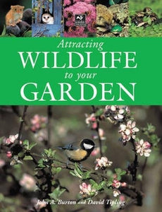 Attracting Wildlife to Your Garden 