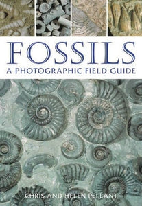 Fossils 