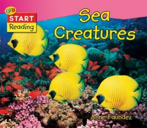 Sea Creatures 