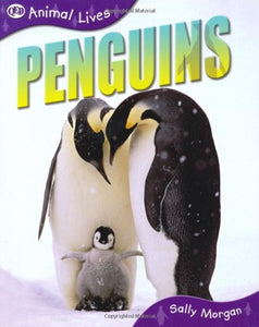 Penguins 