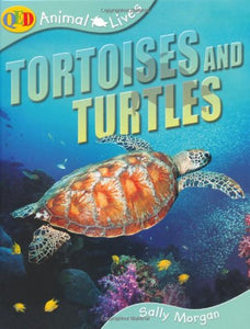 Tortoises and Turtles 