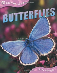 Butterflies 