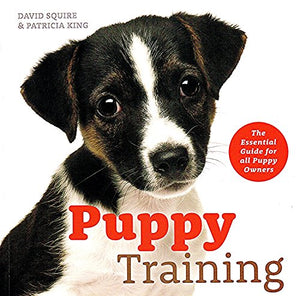 Puppy Training 