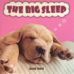 The Big Sleep 