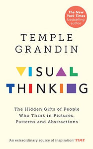 Visual Thinking 