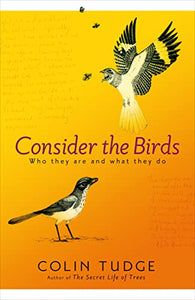 Consider the Birds 