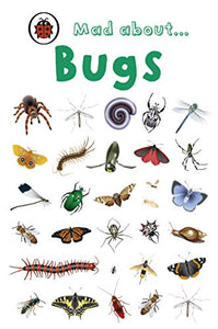 Mad About Bugs 