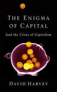 The Enigma of Capital 