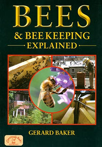 Bees and Bee Keeping Explained 