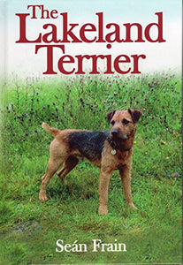 Lakeland Terrier 