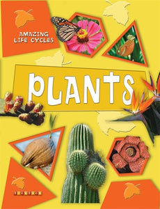 Amazing Life Cycles: Plants 