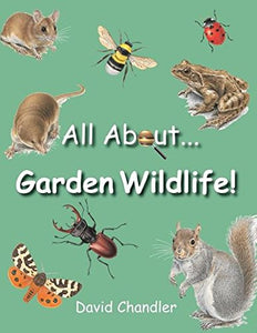 All About Garden Wildlife 