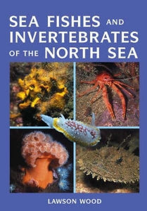 Sea Fishes and Invertebrates of the North Sea 