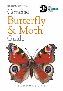 Concise Butterfly and Moth Guide 