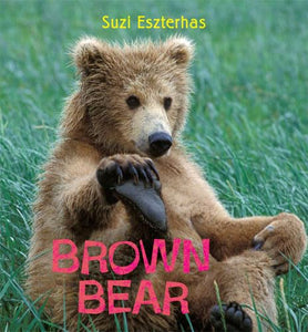 Brown Bear 