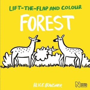 Lift-the-flap and Colour Forest 