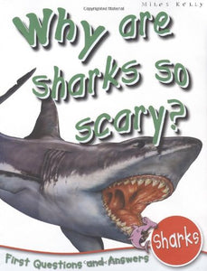 1st Questions and Answers Sharks 