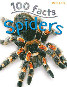 100 Facts Spiders 