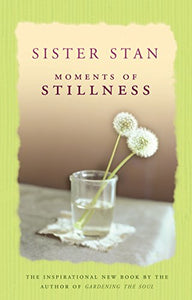 Moments of Stillness 