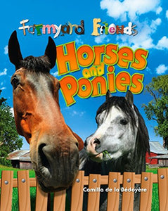 Horses and Ponies 