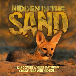 Hidden in the Sand 