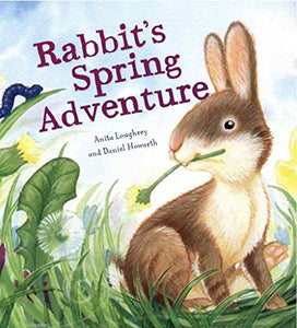 Rabbit's Spring Adventure 