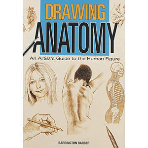 Drawing Anatomy 