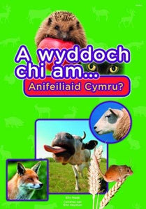 Cyfres a Wyddoch Chi: A Wyddoch Chi am Anifeiliaid Cymru? 