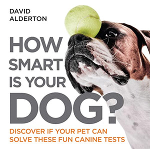 How Smart Is Your Dog? 