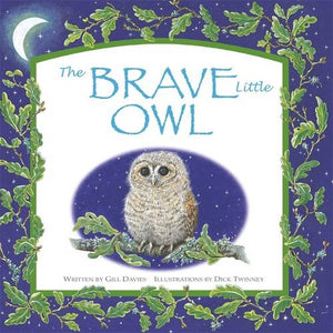 The Brave Little Owl 