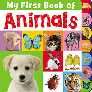 My First Book of Animals 