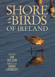 Shorebirds of Ireland 