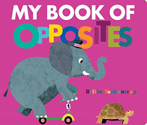 My Book of Opposites 