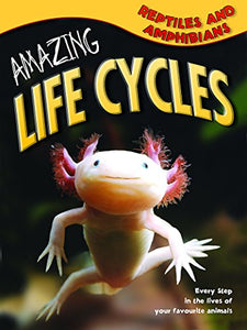 Amazing Life Cycles: Reptiles and Amphibians 