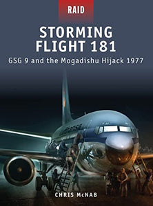 Storming Flight 181 