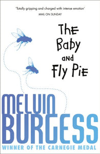 The Baby and Fly Pie 